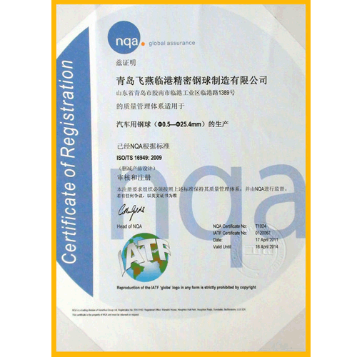 2011年1月份 企业顺利通过ISO/TS16949体系认证换版工